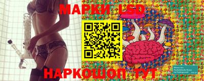 apvp Кунгур