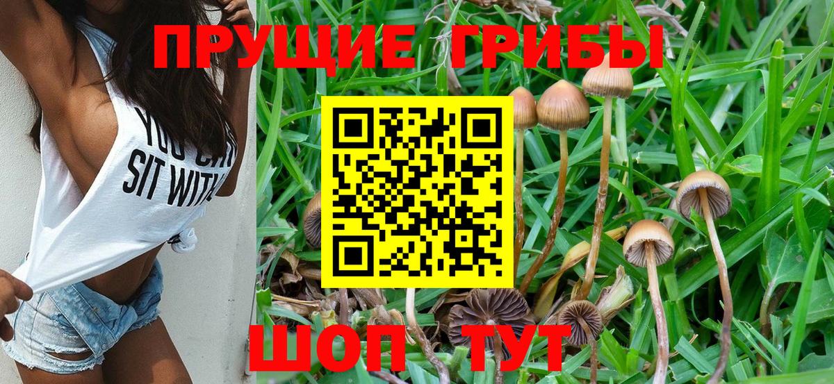 Донской  Галлюциногенные грибы Magic Shrooms  Вход с VPN 